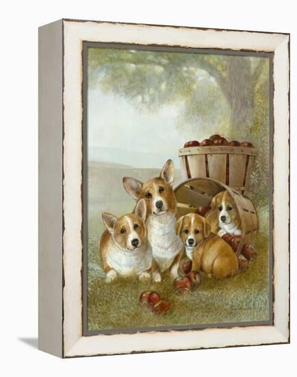 Apple Dumpling-Ruane Manning-Framed Stretched Canvas