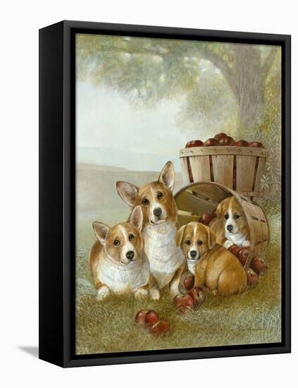 Apple Dumpling-Ruane Manning-Framed Stretched Canvas