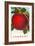 Apple, Fremont, Washington-null-Framed Art Print