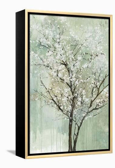 Apple Grove II-Allison Pearce-Framed Stretched Canvas
