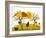 Apple Harvest-Beta757-Framed Art Print