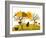 Apple Harvest-Beta757-Framed Art Print