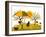 Apple Harvest-Beta757-Framed Art Print