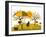 Apple Harvest-Beta757-Framed Art Print