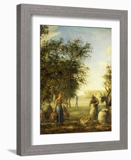 Apple Harvest-Jean-François Millet-Framed Giclee Print