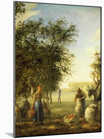 Apple Harvest-Jean-François Millet-Mounted Giclee Print