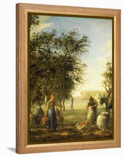 Apple Harvest-Jean-François Millet-Framed Premier Image Canvas