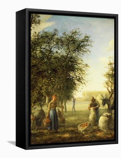 Apple Harvest-Jean-François Millet-Framed Premier Image Canvas