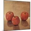 Apple III-Tim O'toole-Mounted Giclee Print