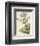 Apple Mint-John Miller-Framed Premium Giclee Print