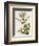 Apple Mint-John Miller-Framed Premium Giclee Print