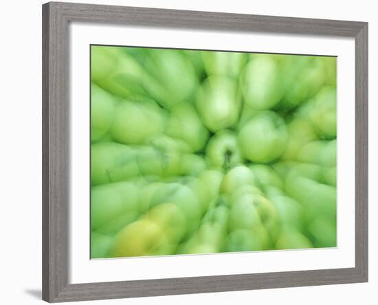 Apple Orchard, Eastern Washington, USA-Merrill Images-Framed Photographic Print