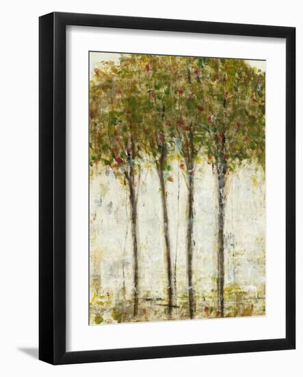 Apple Orchard II-Tim OToole-Framed Art Print