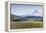 Apple Orchard in Blood with Mount Hood in the Background, Oregon, USA-Chuck Haney-Framed Premier Image Canvas