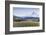 Apple Orchard in Blood with Mount Hood in the Background, Oregon, USA-Chuck Haney-Framed Photographic Print