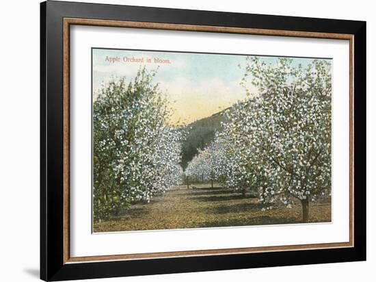 Apple Orchard in Bloom-null-Framed Art Print