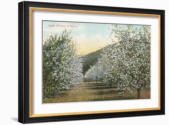 Apple Orchard in Bloom-null-Framed Art Print