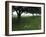 Apple Orchard Near Rennes, France-Walter Sanders-Framed Photographic Print