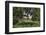 Apple Orchard-Lynn M^ Stone-Framed Photographic Print