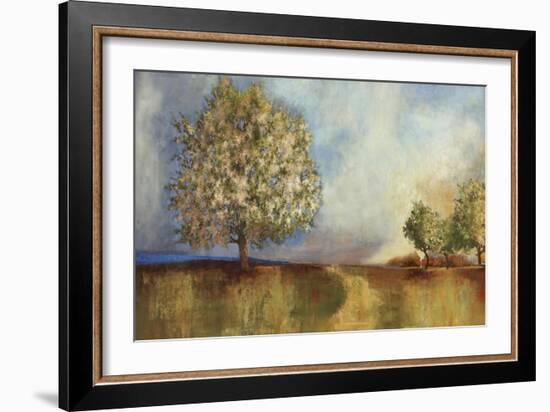 Apple Orchard-Andrew Michaels-Framed Art Print