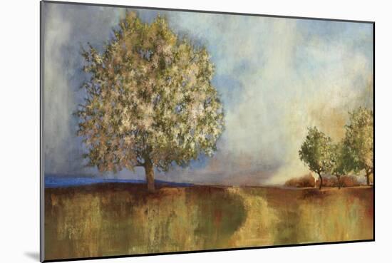 Apple Orchard-Andrew Michaels-Mounted Art Print