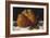 Apple, Pear and Orange, C.1871-72-Gustave Courbet-Framed Giclee Print