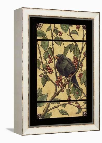 Apple Raven-Michele Meissner-Framed Premier Image Canvas