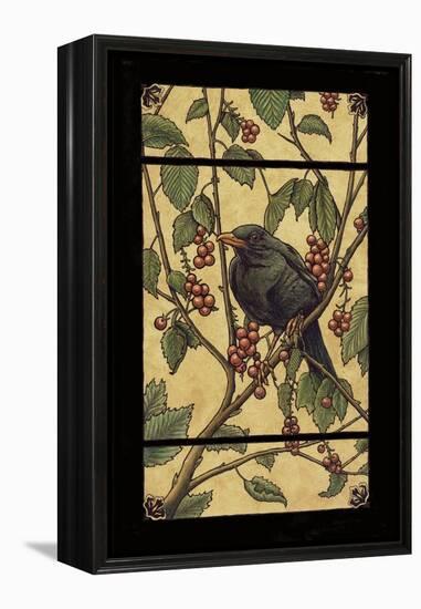 Apple Raven-Michele Meissner-Framed Premier Image Canvas