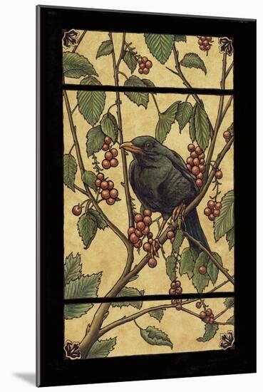Apple Raven-Michele Meissner-Mounted Giclee Print