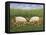 Apple-Sows-Ditz-Framed Premier Image Canvas