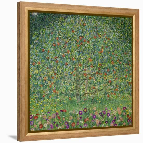 Apple Tree, 1912-Gustav Klimt-Framed Premier Image Canvas