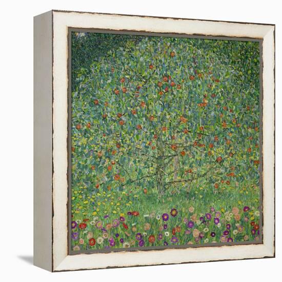 Apple Tree, 1912-Gustav Klimt-Framed Premier Image Canvas