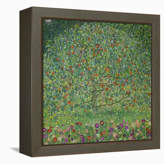 Apple Tree, 1912-Gustav Klimt-Framed Premier Image Canvas