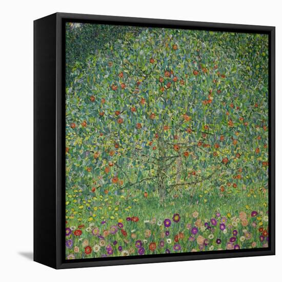 Apple Tree, 1912-Gustav Klimt-Framed Premier Image Canvas