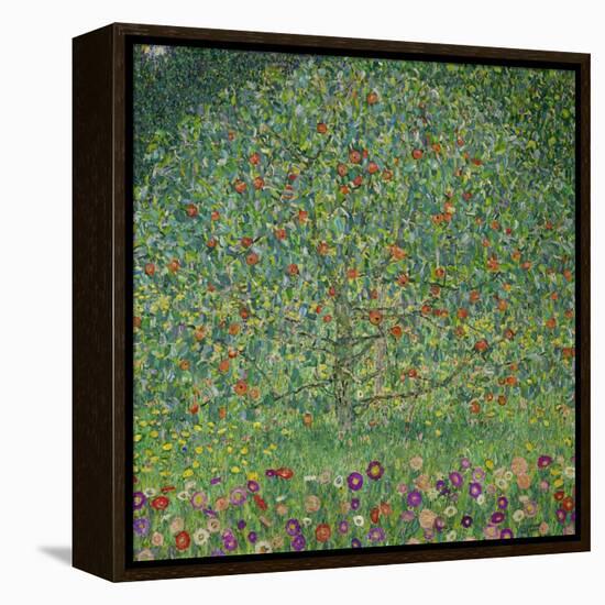 Apple Tree, 1912-Gustav Klimt-Framed Premier Image Canvas