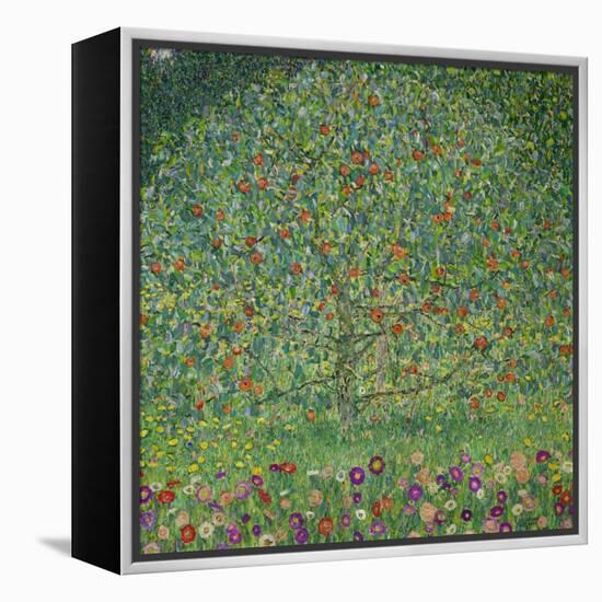Apple Tree, 1912-Gustav Klimt-Framed Premier Image Canvas
