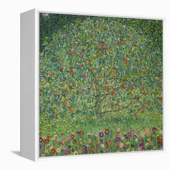 Apple Tree, 1912-Gustav Klimt-Framed Premier Image Canvas