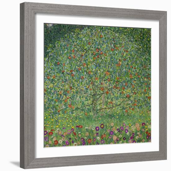 Apple Tree, 1912-Gustav Klimt-Framed Giclee Print