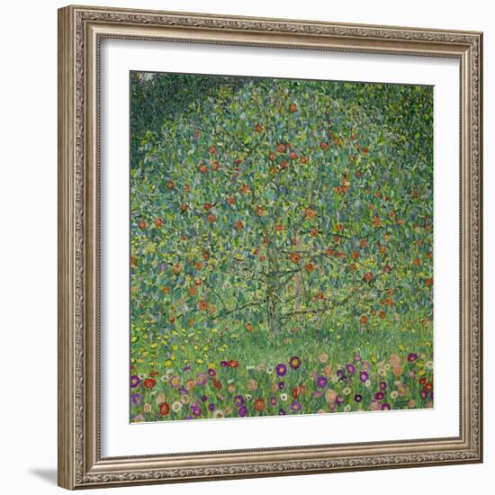 Apple Tree, 1912-Gustav Klimt-Framed Giclee Print