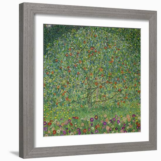 Apple Tree, 1912-Gustav Klimt-Framed Giclee Print