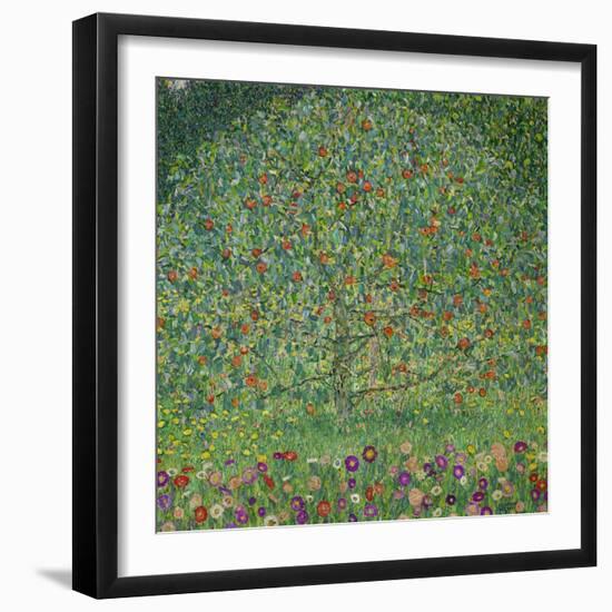 Apple Tree, 1912-Gustav Klimt-Framed Giclee Print