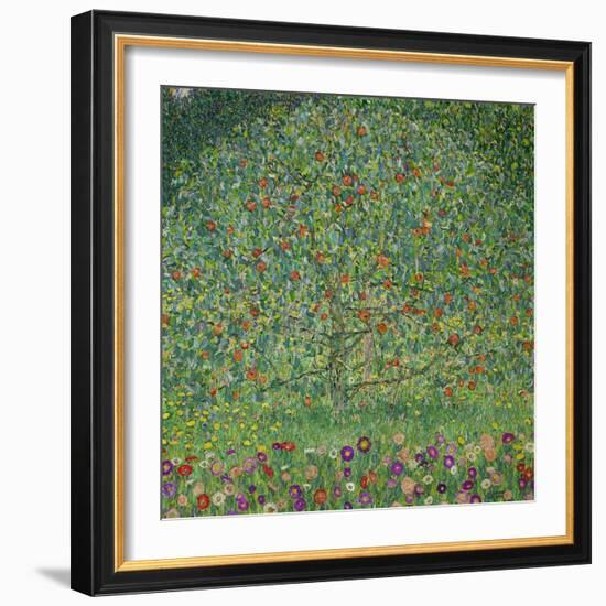 Apple Tree, 1912-Gustav Klimt-Framed Giclee Print