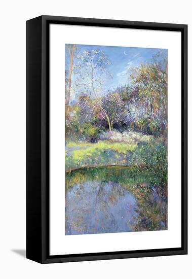 Apple Tree and Crescent Moon-Timothy Easton-Framed Premier Image Canvas