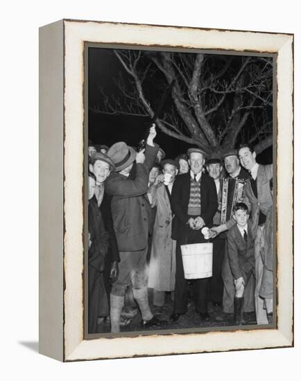 Apple Tree Custom Trees are Toasted with Mulled Cider While Singing a Wassail Song-null-Framed Premier Image Canvas