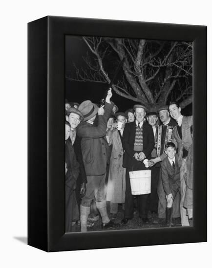 Apple Tree Custom Trees are Toasted with Mulled Cider While Singing a Wassail Song-null-Framed Premier Image Canvas