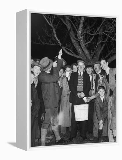 Apple Tree Custom Trees are Toasted with Mulled Cider While Singing a Wassail Song-null-Framed Premier Image Canvas