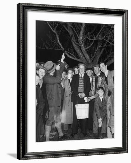 Apple Tree Custom Trees are Toasted with Mulled Cider While Singing a Wassail Song-null-Framed Photographic Print