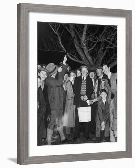 Apple Tree Custom Trees are Toasted with Mulled Cider While Singing a Wassail Song-null-Framed Photographic Print