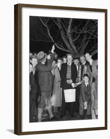 Apple Tree Custom Trees are Toasted with Mulled Cider While Singing a Wassail Song-null-Framed Photographic Print