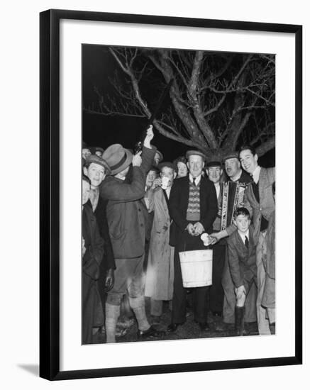 Apple Tree Custom Trees are Toasted with Mulled Cider While Singing a Wassail Song-null-Framed Photographic Print